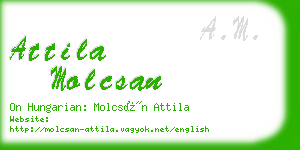 attila molcsan business card